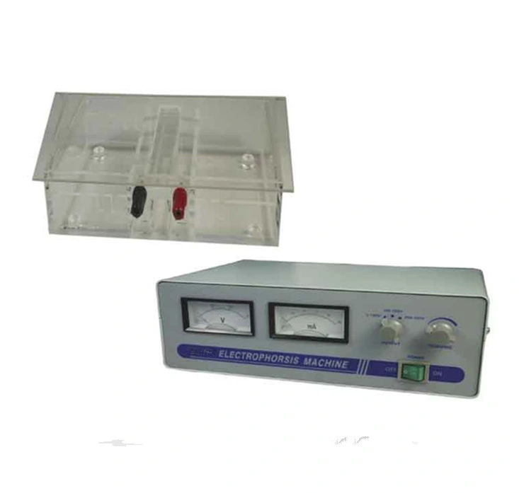 Medical Lab Equipment Price Electrophoresis Apparatus Machine