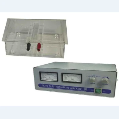 Medical Lab Equipment Price Electrophoresis Apparatus Machine